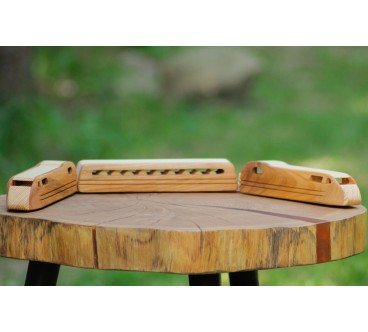 Wooden TGV Express Train Toy 3-Part Model