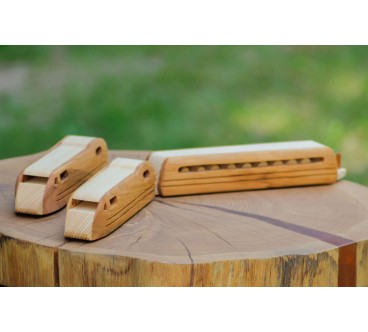 Wooden TGV Express Train Toy 3-Part Model