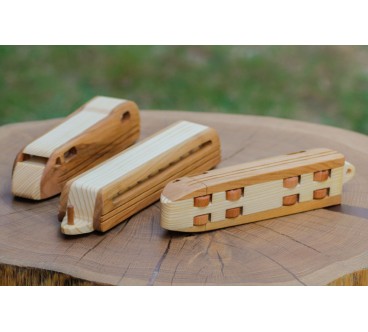 Wooden TGV Express Train Toy 3-Part Model