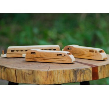 Wooden TGV Express Train Toy 3-Part Model