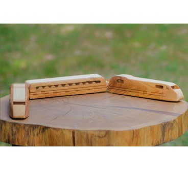 Wooden TGV Express Train Toy 3-Part Model