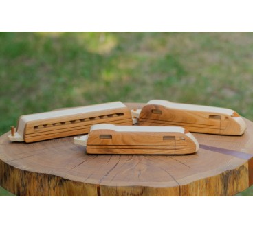 Wooden TGV Express Train Toy 3-Part Model
