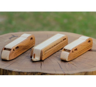 Wooden TGV Express Train Toy 3-Part Model