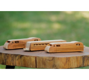 Wooden TGV Express Train Toy 3-Part Model