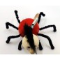 Wooden World Spring Wooden Black Spider Puppet, Handmade Bouncy Toy, Hanging Decoration & Gift Wooden World Spring Wooden Black Spider Puppet, Handmade Bouncy Toy, Hanging Decoration & Gift