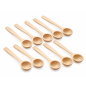 Wooden World Set of 10 Small Deep Beech Wood Spoons 14 cm for Sugar Coffee Salt and Spices Wooden World Set of 10 Small Deep Beech Wood Spoons 14 cm for Sugar Coffee Salt and Spices