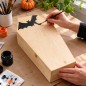 Wooden World - Medium Wooden Coffin 44 cm, Unfinished Pine Halloween Decoration, Craft Box & Pet Coffin Wooden World - Medium Wooden Coffin 44 cm, Unfinished Pine Halloween Decoration, Craft Box & Pet Coffin