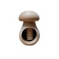 Wooden Nutcracker in Mushroom Shape – Natural Beech Wood Nut Cracker 11 cm x 7 cm, Raw Finish, Autumn & Christmas Gift